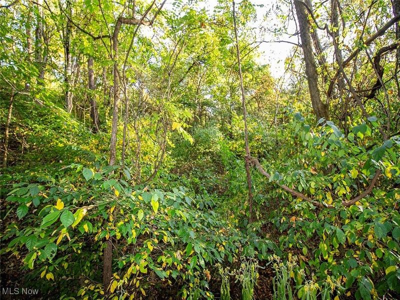 8 acres Whiskey Run Road, Quaker City, OH 43773 Photo 3