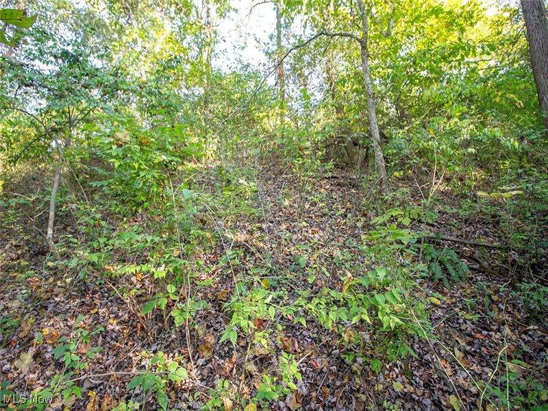 8 acres Whiskey Run Road, Quaker City, OH 43773 Photo 4