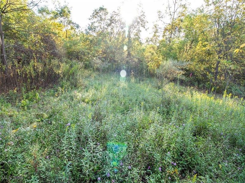 8 acres Whiskey Run Road, Quaker City, OH 43773 Photo 5