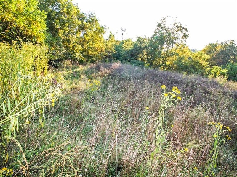 8 acres Whiskey Run Road, Quaker City, OH 43773 Photo 7