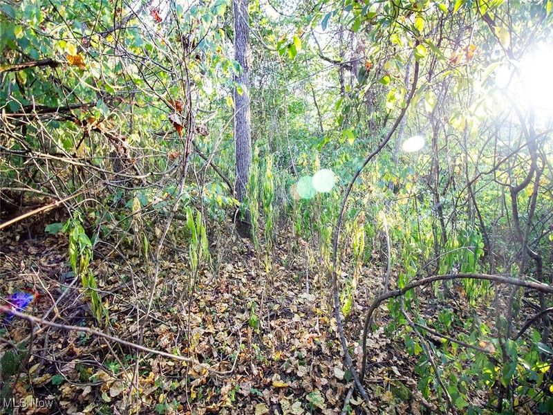 8 acres Whiskey Run Road, Quaker City, OH 43773 Photo 8