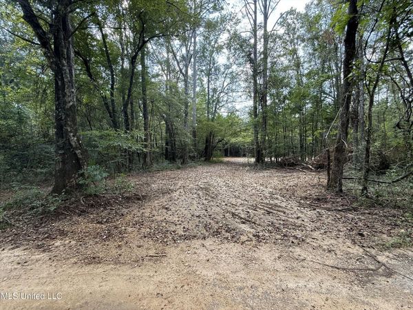 SW Dalton Lane, Smithdale, MS 39664