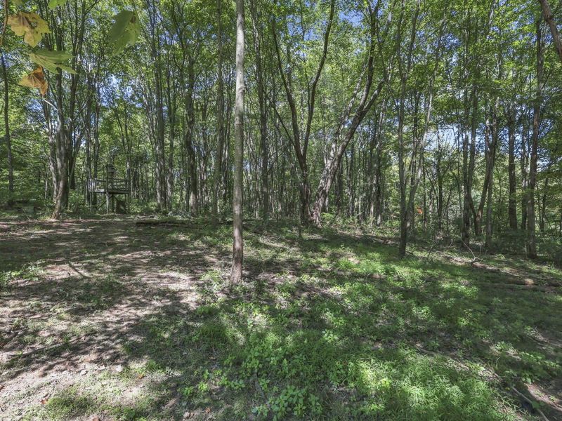 6690 Watkins Road SW, Pataskala, OH 43062 Photo 71