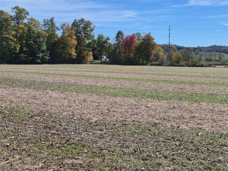 Lincoln Street SE, East Canton, OH 44730 Photo 2