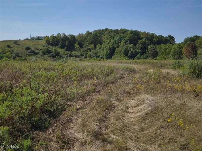 Lincoln Street SE, East Canton, OH 44730 Photo 5