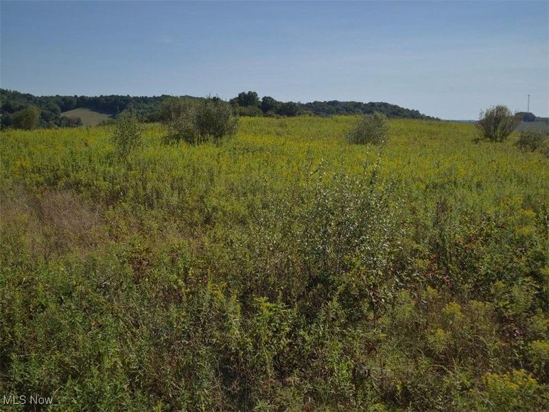 Lincoln Street SE, East Canton, OH 44730 Photo 6