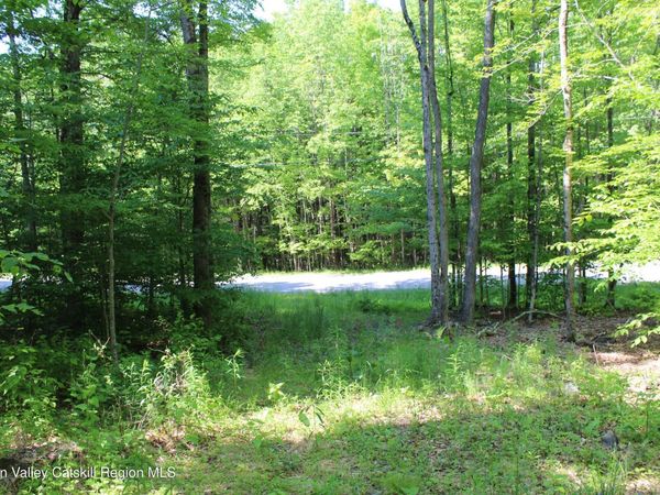 380 Terrace Drive , Lexington, NY 12468