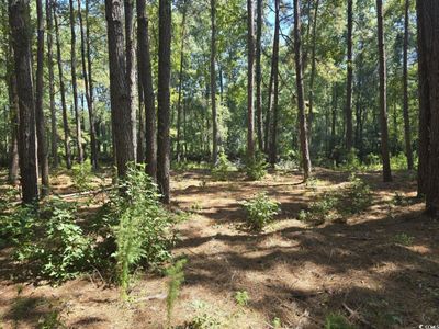 TBD Allen Dew Rd., Conway, SC 29527