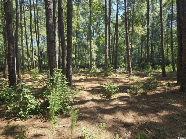 TBD Allen Dew Rd., Conway, SC 29527