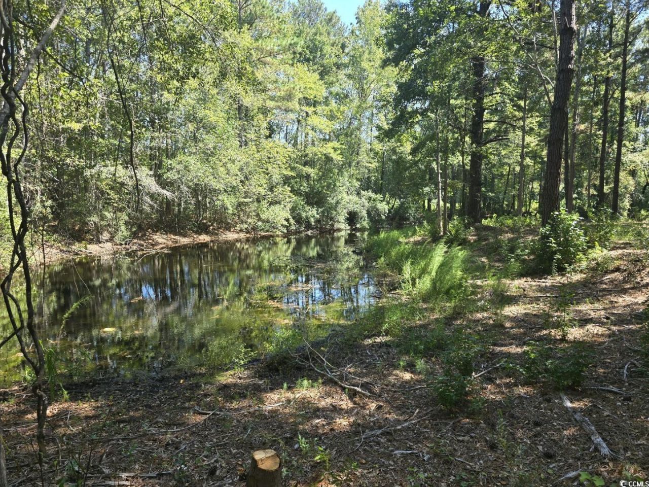 Tbd Allen Dew Rd. Photo 3