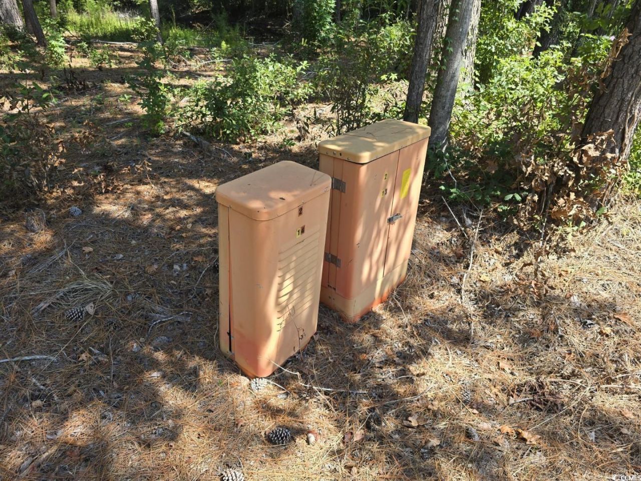 Tbd Allen Dew Rd. Photo 4