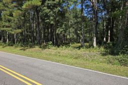 Tbd Allen Dew Rd. photo 4