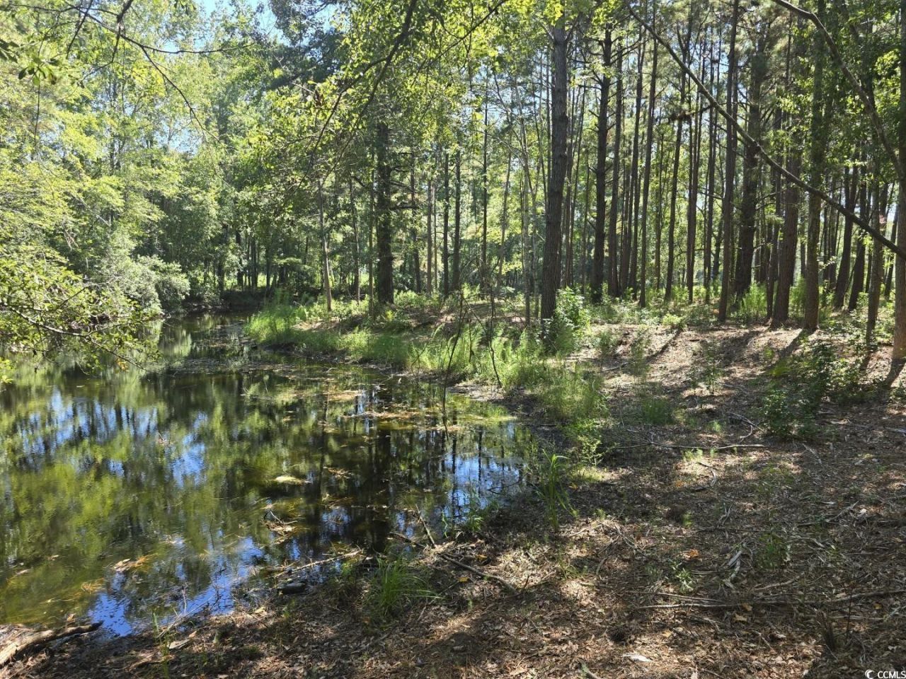 Tbd Allen Dew Rd. Photo 8