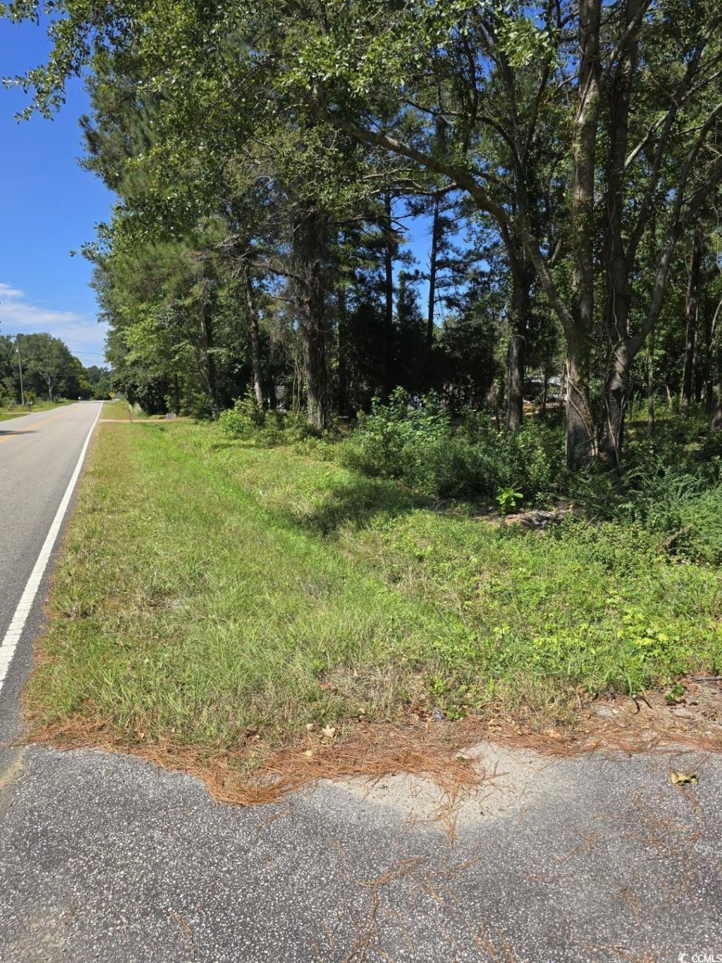 Tbd Allen Dew Rd. Photo 9