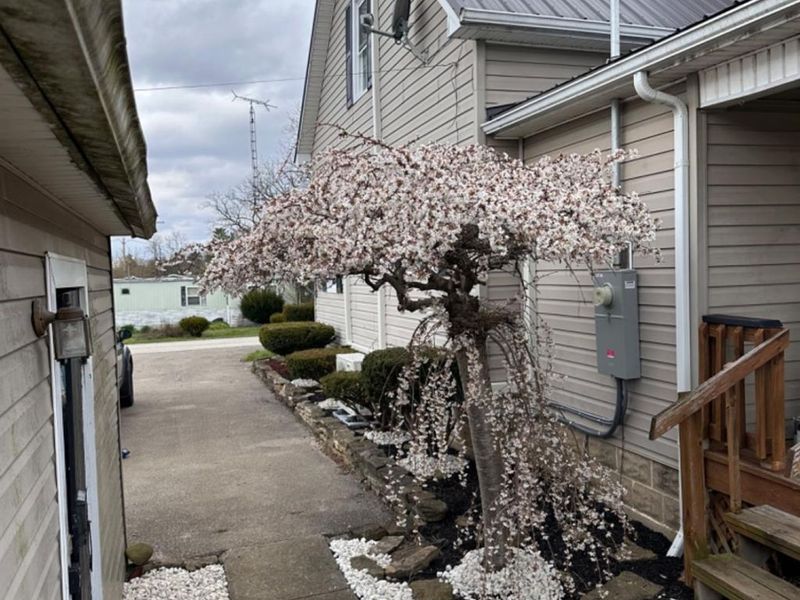 9 Sugar Street, Sinking Spring, OH 45172 Photo 33