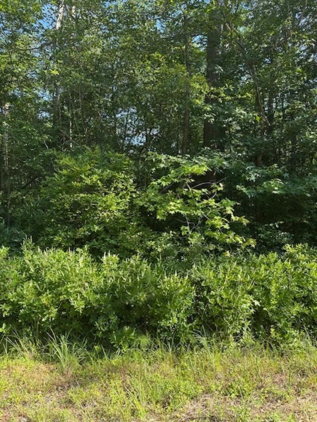 Lot 22 Lake Drive, Colonial Beach, VA 22443 Main Photo