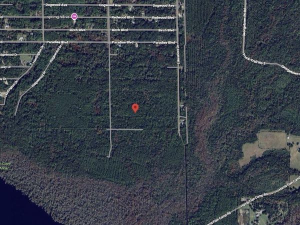 214 Garrison Avenue, Georgetown, FL 32139