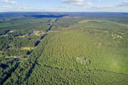 00 Summers Drive photo 4