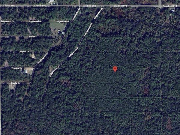 317 Tropical Drive, Georgetown, FL 32139
