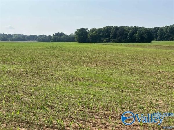 Tract 1 Old Railroad Bed Road, Harvest, AL 35749