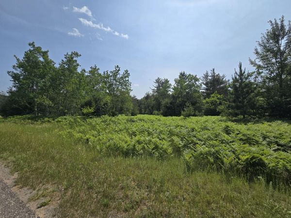 82 Northridge Drive, Mancelona, MI 49659