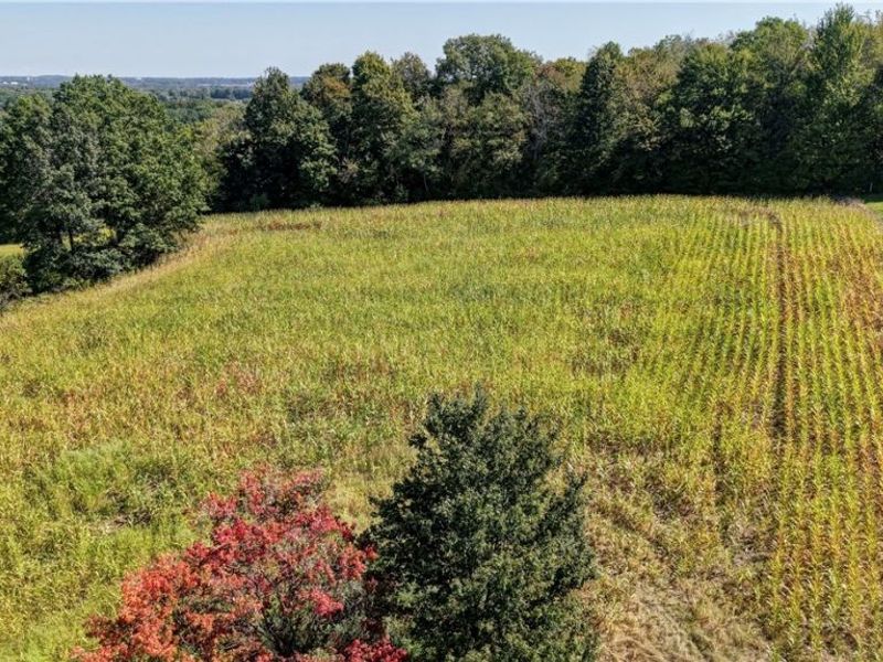 Lawndell Road, Navarre, OH 44662 Photo 5