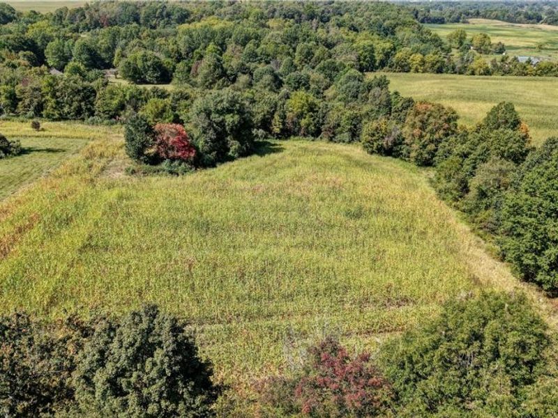 Lawndell Road, Navarre, OH 44662 Photo 6