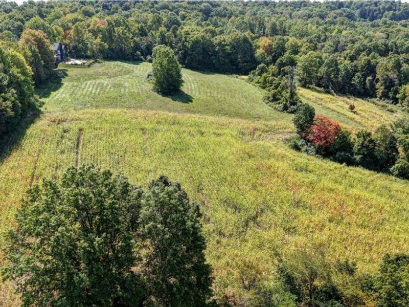 Lawndell Road, Navarre, OH 44662 Photo 7