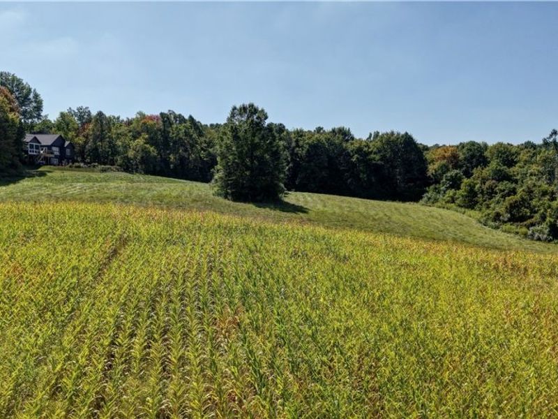 Lawndell Road, Navarre, OH 44662 Photo 8