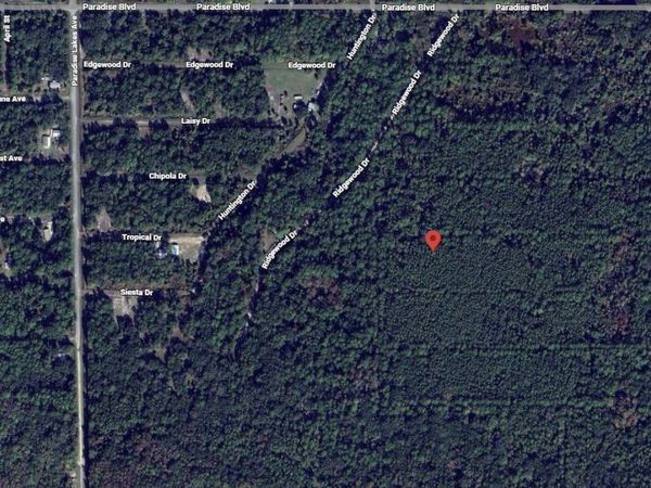 307 Tropical Drive, Georgetown, FL 32139