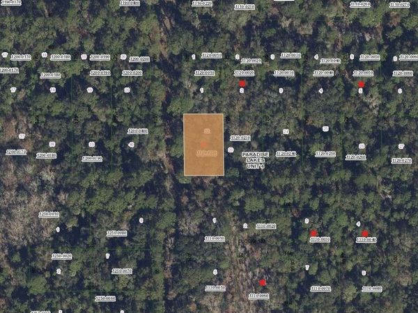 Tbd Mandarin Avenue, Georgetown, FL 32139