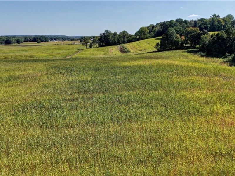 Day Avenue, Navarre, OH 44662 Photo 5