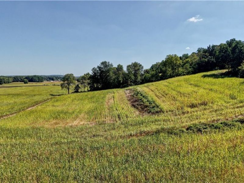 Day Avenue, Navarre, OH 44662 Photo 6