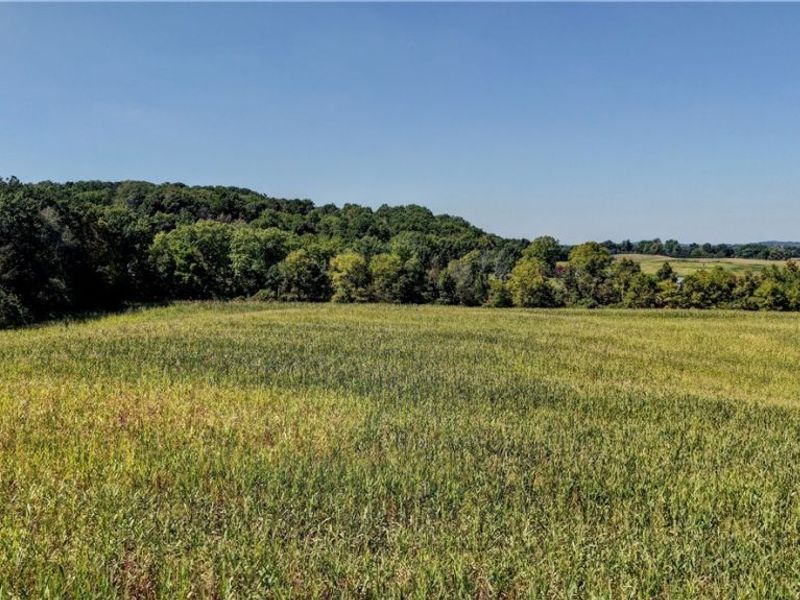 Day Avenue, Navarre, OH 44662 Photo 7