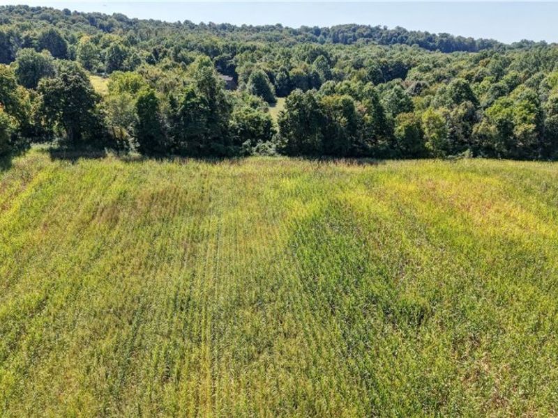 Day Avenue, Navarre, OH 44662 Photo 8