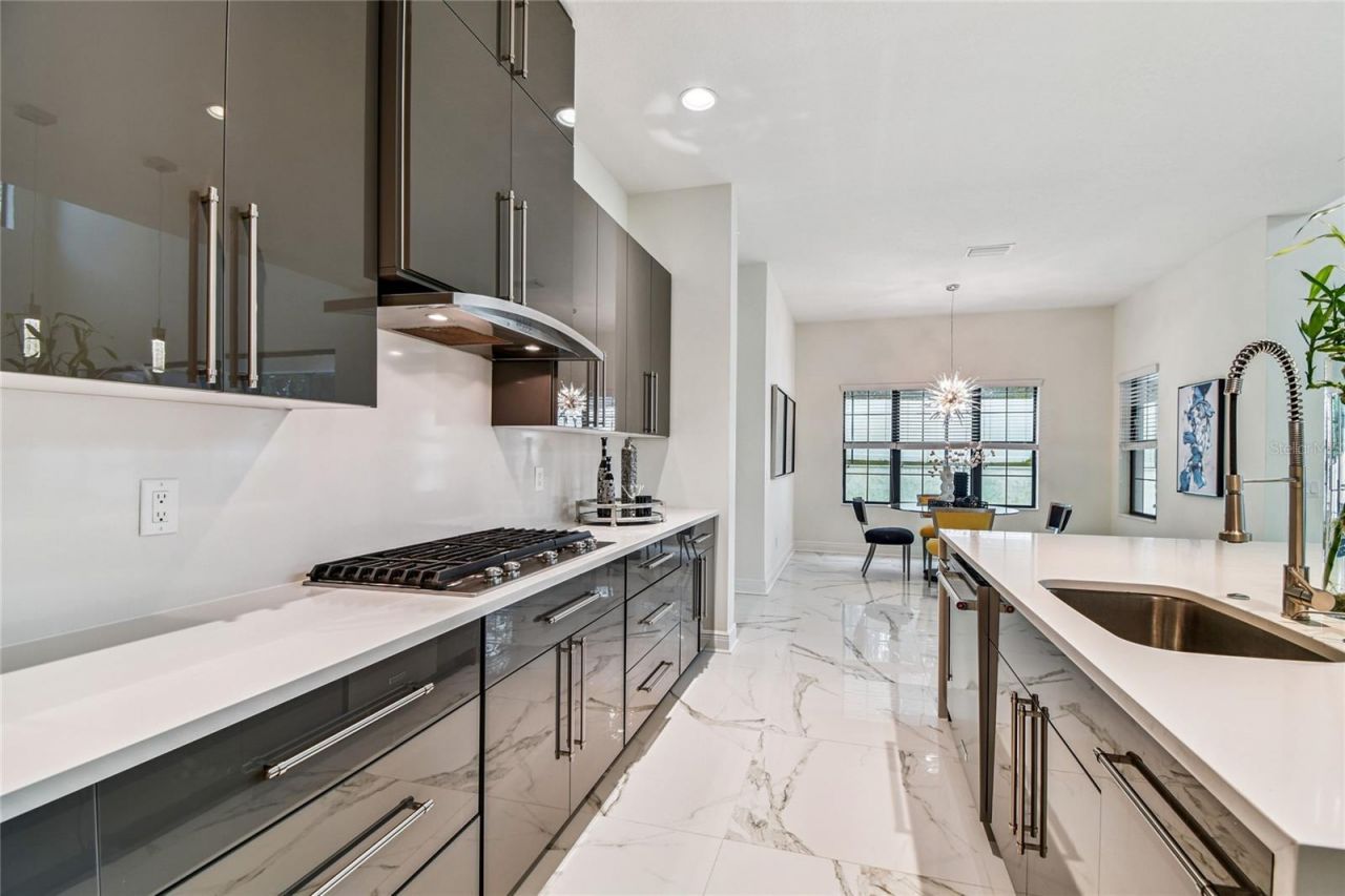 2713 Calvano Drive, Land O Lakes, FL 34639 Photo