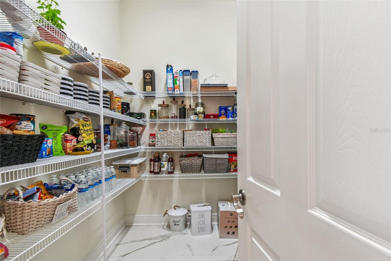 2713 Calvano Drive, Land O Lakes, FL 34639 Photo