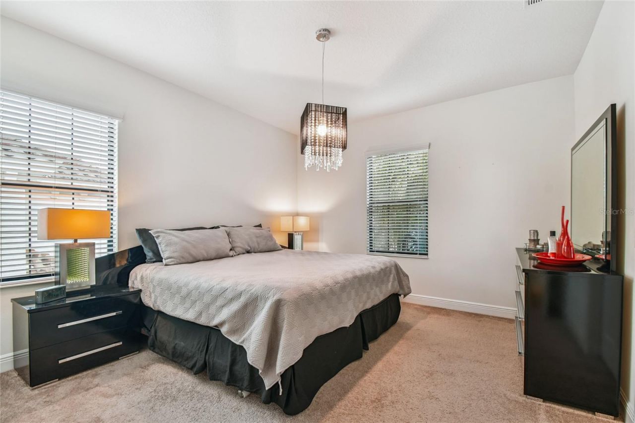 2713 Calvano Drive, Land O Lakes, FL 34639 Photo