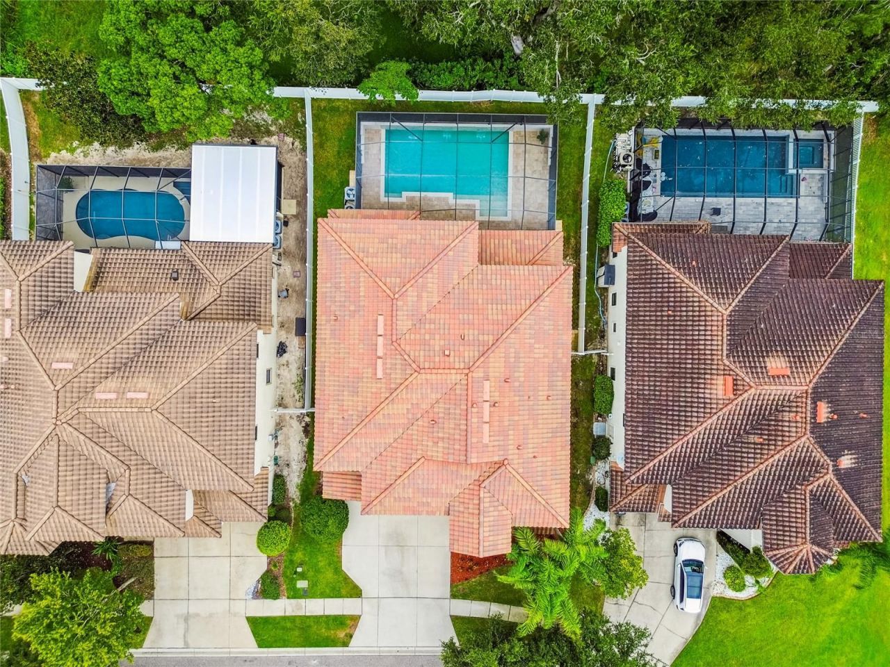 2713 Calvano Drive, Land O Lakes, FL 34639 Photo