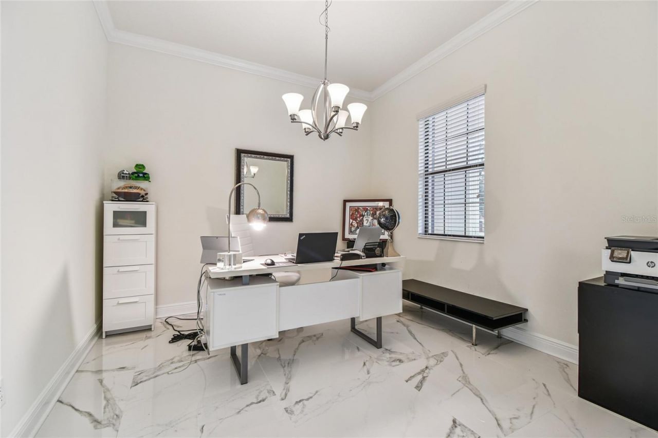 2713 Calvano Drive, Land O Lakes, FL 34639 Photo