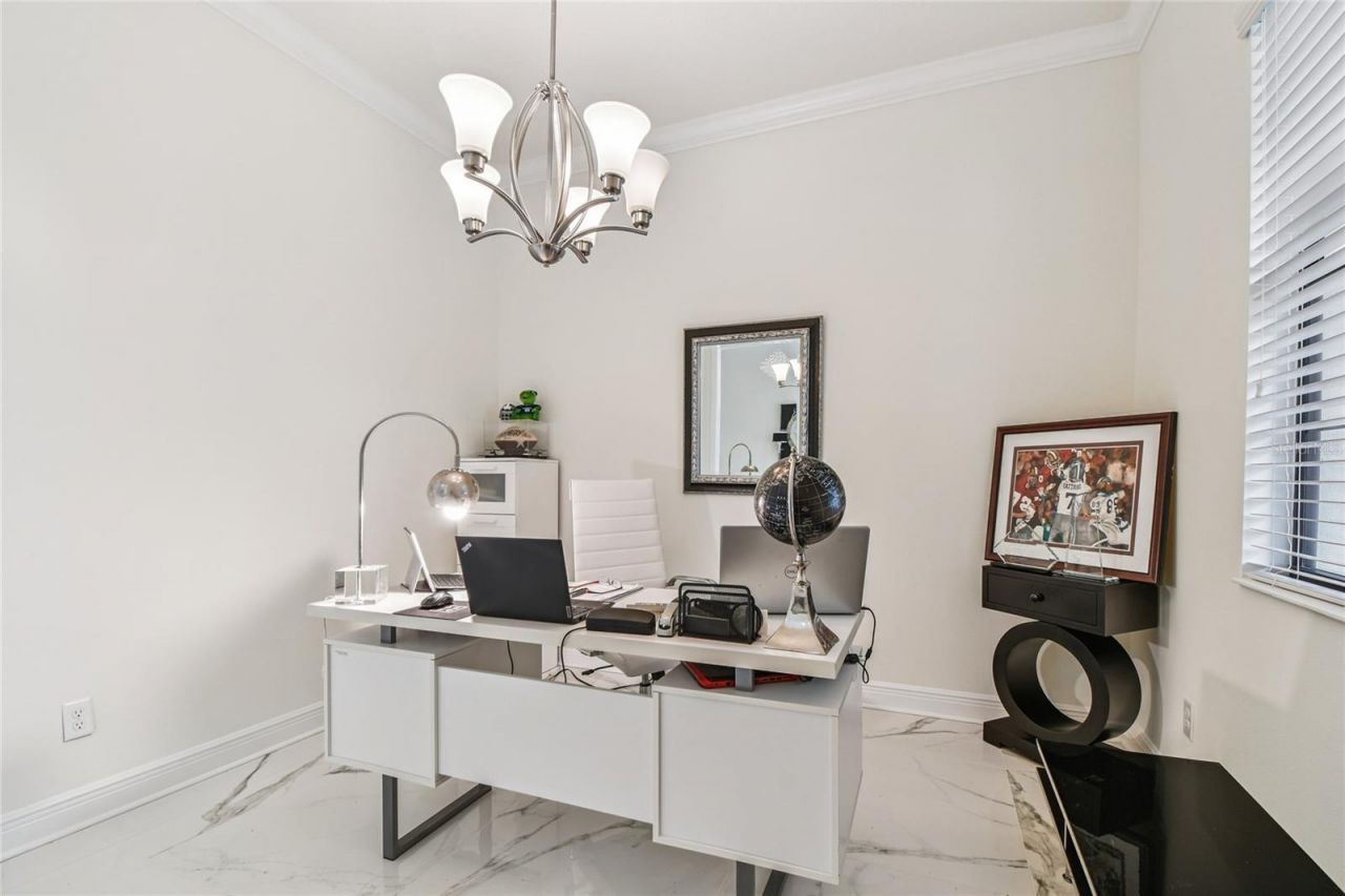 2713 Calvano Drive, Land O Lakes, FL 34639 Photo