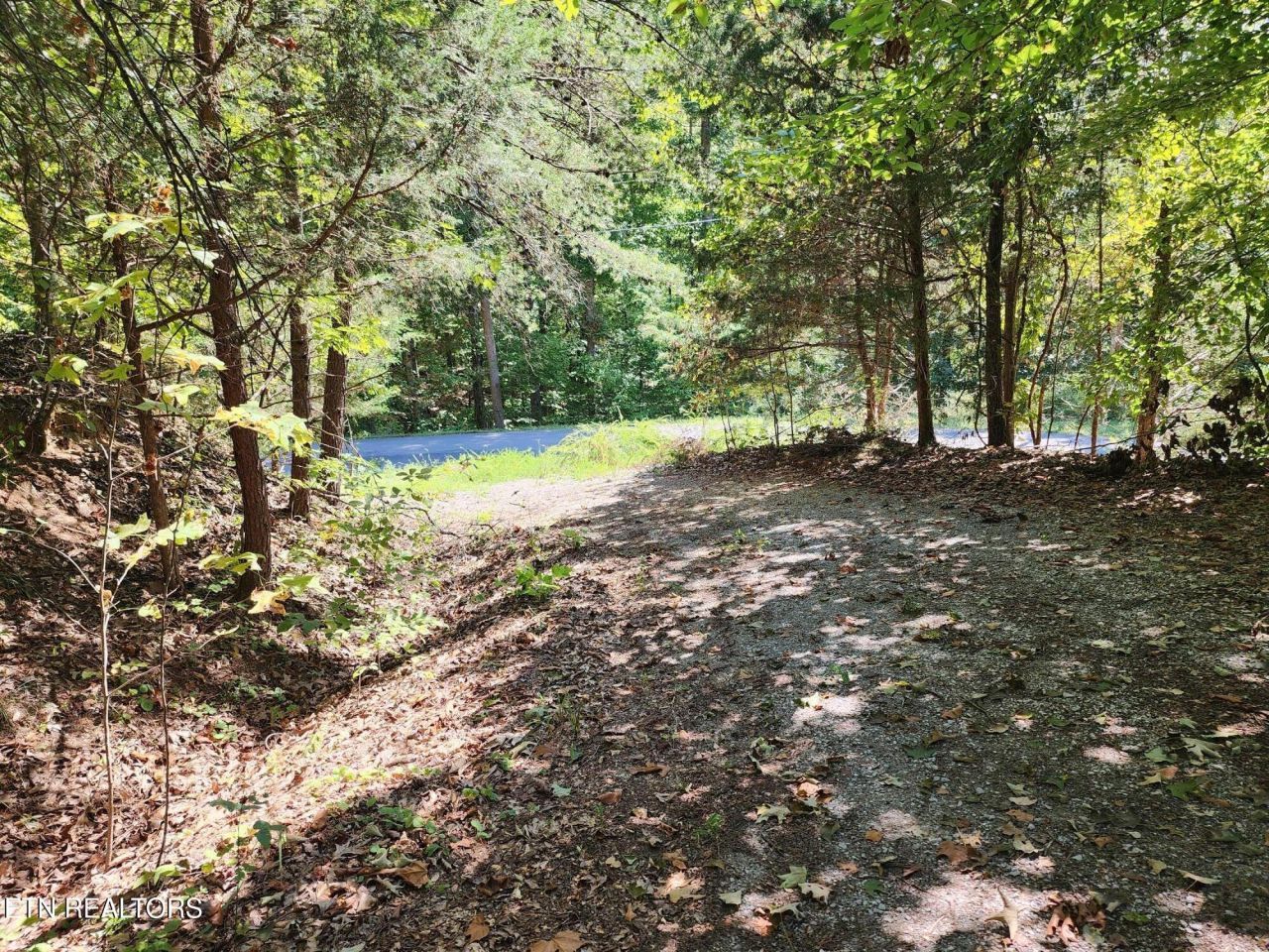 Timber Ridge Rd, Sharps Chapel, TN 37866 Main Photo
