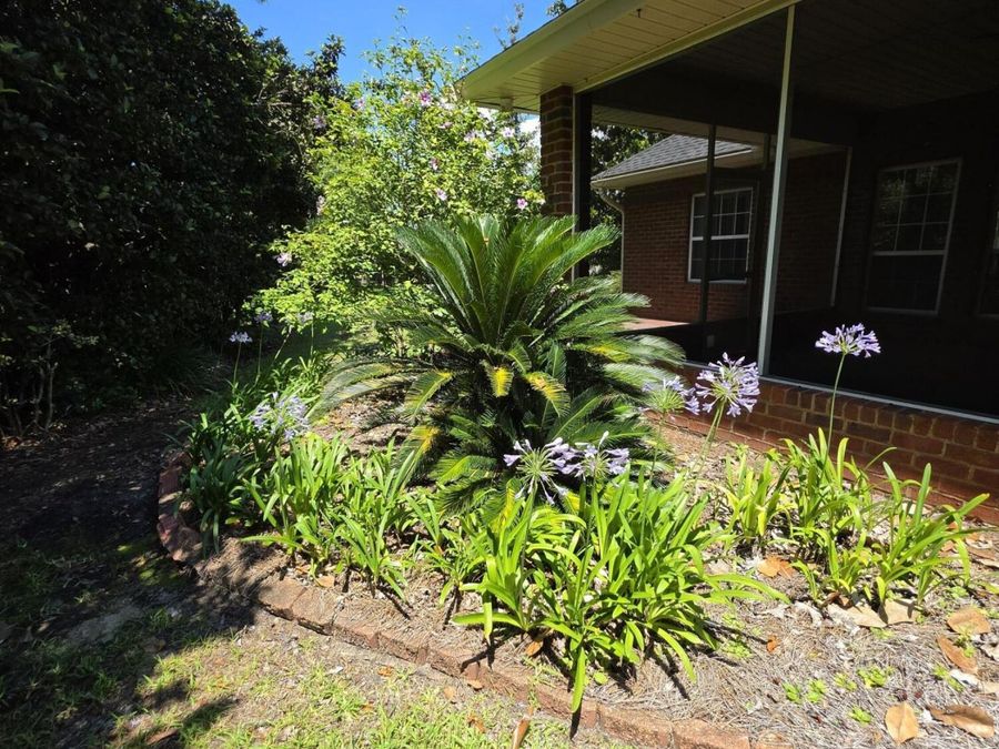 Property Image 57