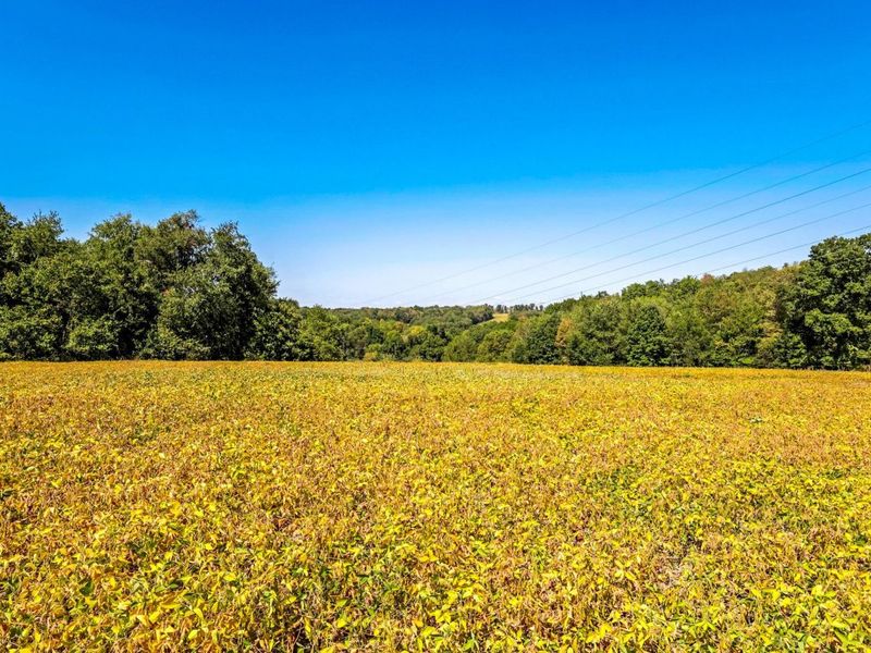 3044 Jasmine Road NW, Carrollton, OH 44615 Photo 62