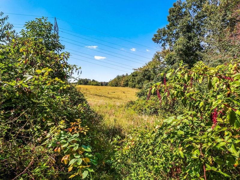 3044 Jasmine Road NW, Carrollton, OH 44615 Photo 64