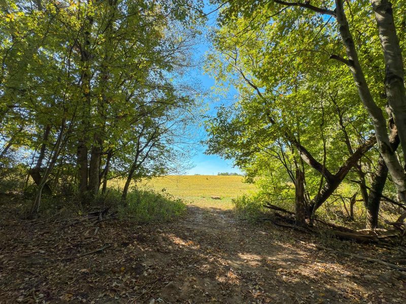 3044 Jasmine Road NW, Carrollton, OH 44615 Photo 65