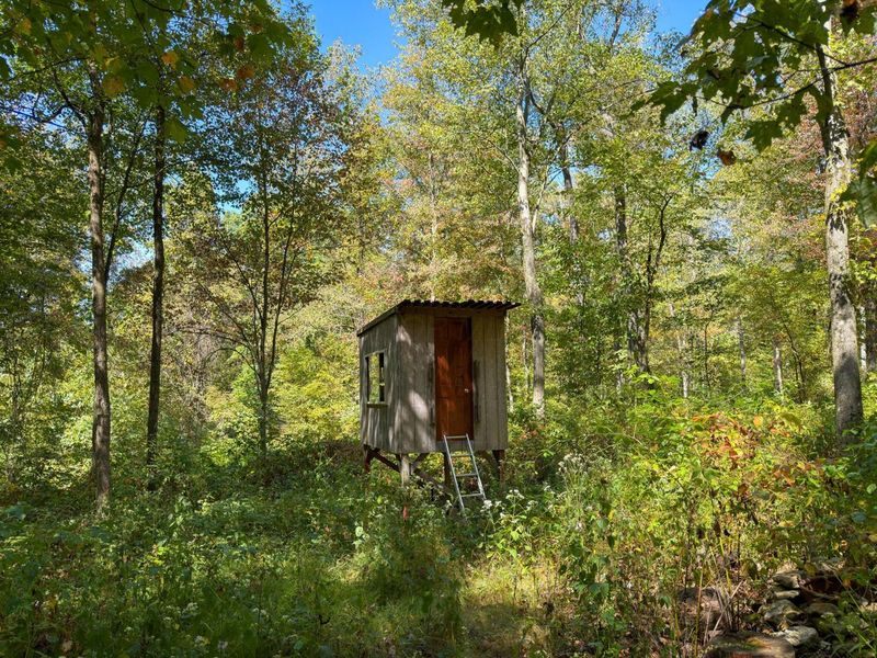 3044 Jasmine Road NW, Carrollton, OH 44615 Photo 66