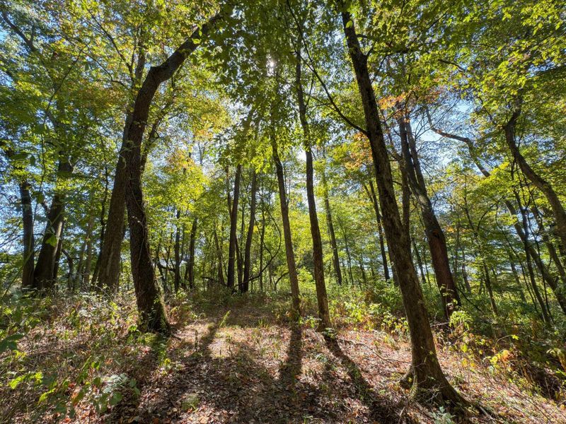 3044 Jasmine Road NW, Carrollton, OH 44615 Photo 67