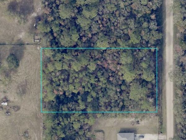 10225 W ZIGLER AVE, Unit 2, HASTINGS, FL 32145