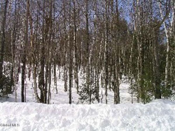 132 River Road, North Creek, NY 12853